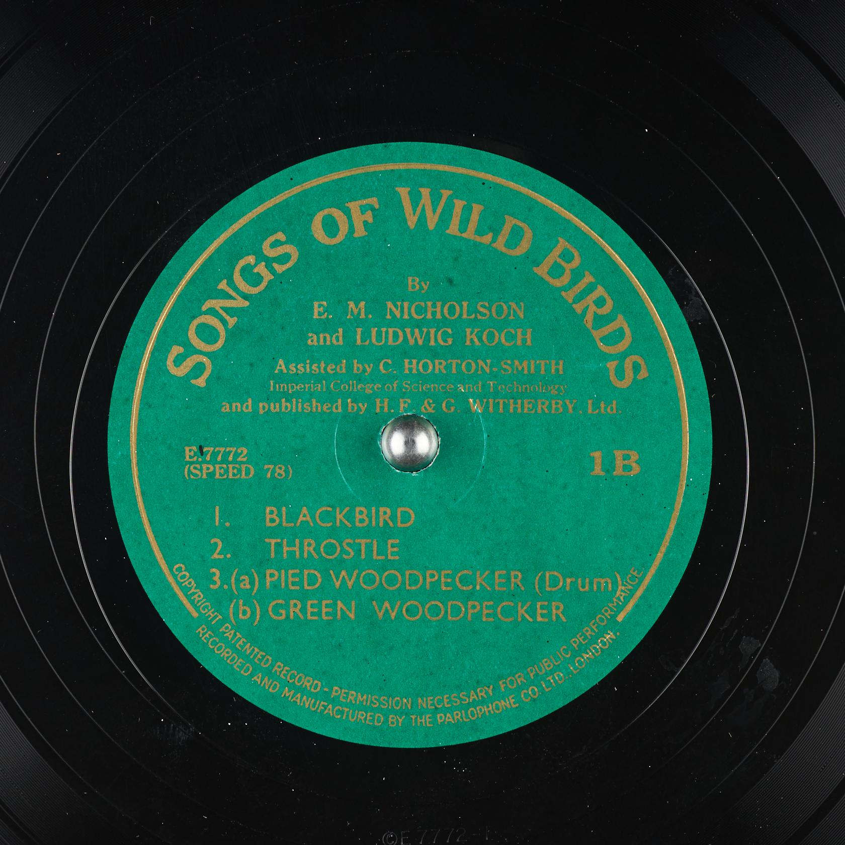 Songs of wild birds. Disc 1, Side B (E.7772)