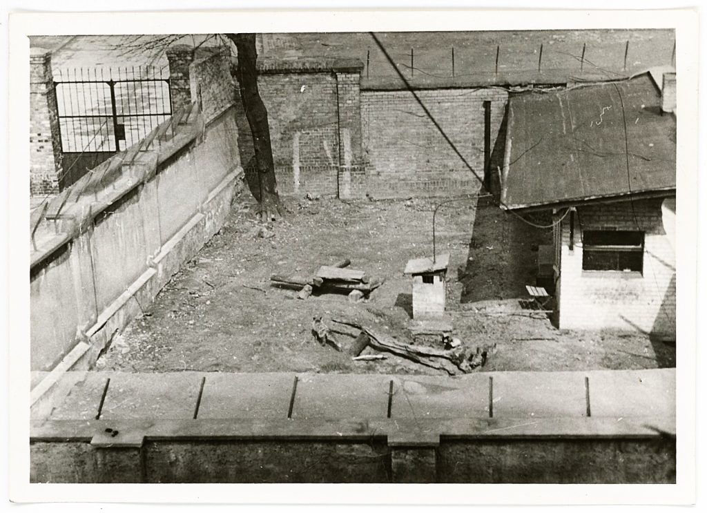 Fig. 1 Open air enclosure of the „Research Centre for Animal Psychology“ in the 1950s, © TFSB
