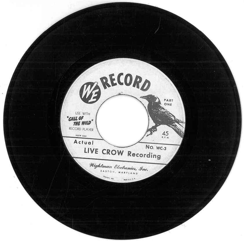 WE Record – Actual Live Crow Recording, Side A