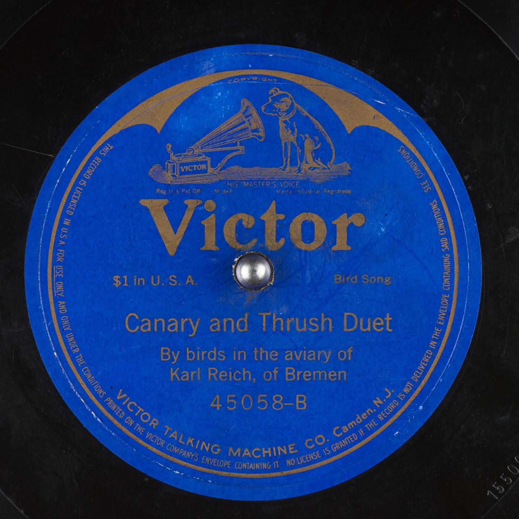 Canary and Thrush Duet (45058-B)