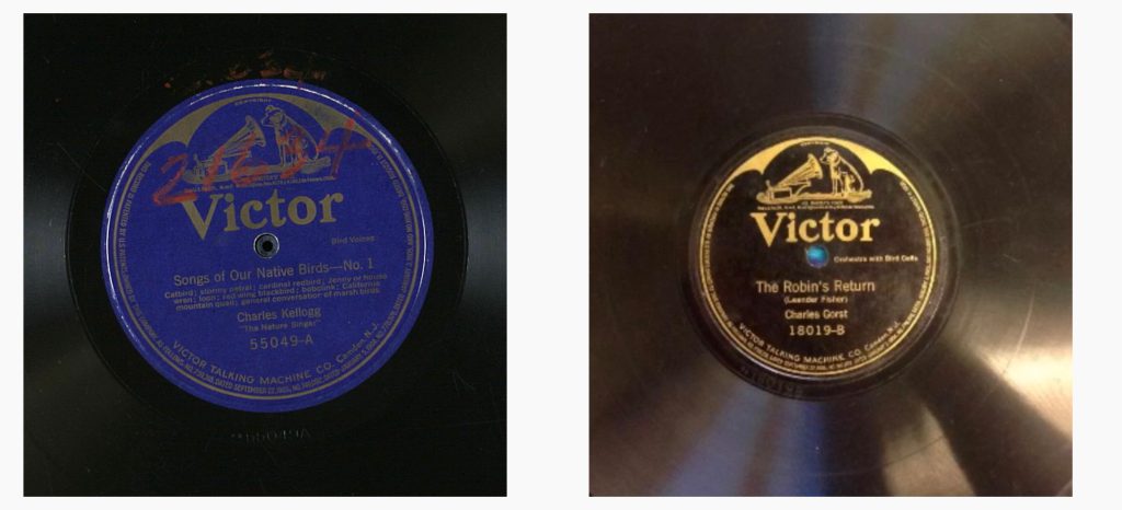 Left: ​Charles Kellogg "Voices of our native Birds" (1915) Right: Charles Gorst Orchestra with Birdcalls (1916)