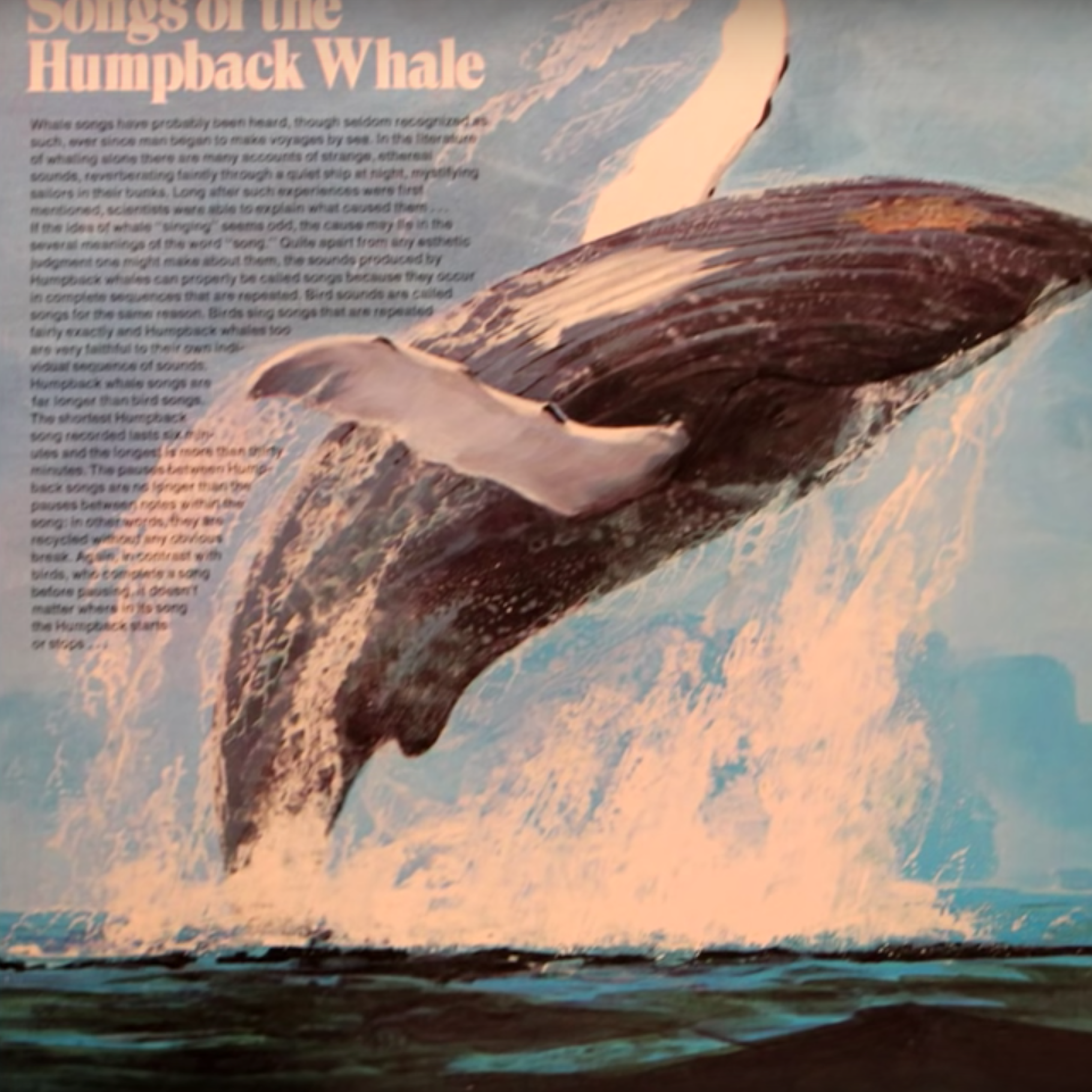 Track: “Distant Whale,” Humpback Whale Album